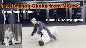 Image result for Komaru Ryu Small Circle Jujitsu/Karate