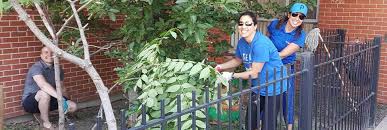 Image result for Wood Green A F S Association