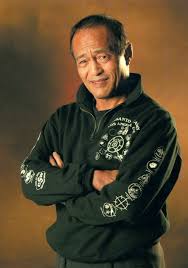 Image result for Somerset Jeet Kune Do