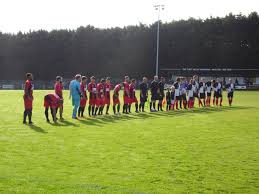 Image result for Shepton Mallet Bowls Club