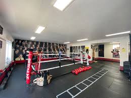 Image result for Phoenix Kick Boxing Club
