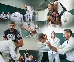 Image result for Combined self defence arts