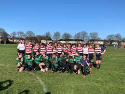 Image result for Harpenden Rugby Football Club