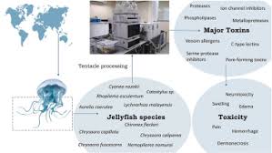 Image result for Channel SC-Weston SM