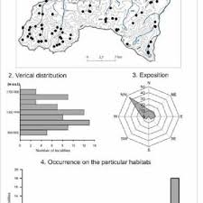 Attēlu rezultāti vaicājumam “Chiloscyphus pallescens”