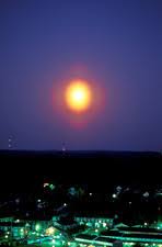 Attēlu rezultāti vaicājumam “pollen corona”