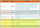 SEOBook.Com: How Google Killed Category Killer Domains | The Domains