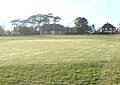 Image result for Hellingly Cricket Club