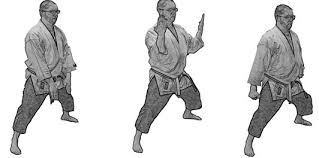 Image result for Zen Shin Seicho Do Adult Karate