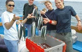 Image result for Paignton Sea Anglers Association