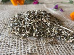 Attēlu rezultāti vaicājumam “Stachys officinalis leaf”