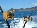 Study: Deep sea ecosystems conservation must for sustainable ...