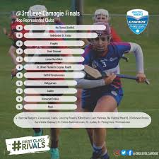 Image result for Causeway Hurling Club