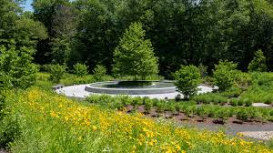 Image result for Chapeltown 50  Scrabble Club