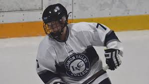 Image result for Annadale Hockey Club