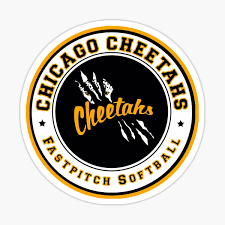 Image result for Cheetahs Softball Team