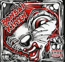 Kuvahaun tulos haulle bonsaikitten