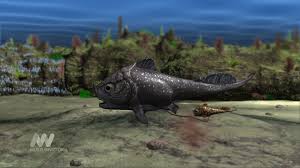 Attēlu rezultāti vaicājumam “Placodermi”