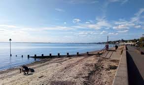 Image result for Southend-On-Sea Sc