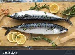 Image result for Sarda sarda