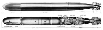 Image result for Torpedo torpedo
