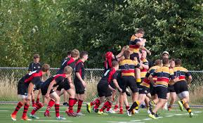Image result for Hoyland Vikings Amateur Rugby League Football Club