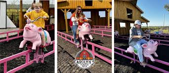 Image result for flying pigs
