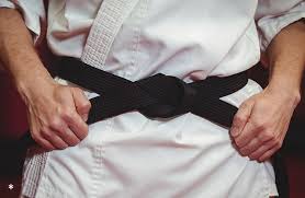 Image result for Norfolk Karate