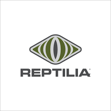 Attēlu rezultāti vaicājumam “Reptilia”