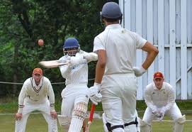 Image result for Eversley Cricket Club