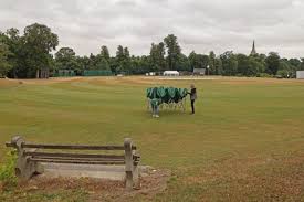 Image result for Saffron Walden Cricket Club