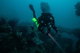 Image result for Stortford Divers