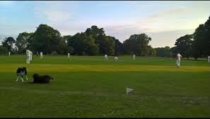 Image result for Battle Cricket Club