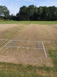 Image result for Broadbridge Heath Cricket Club