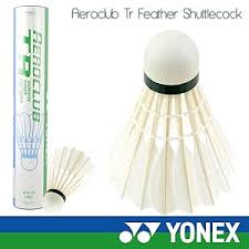 Image result for Flukey Feathers Badminton Club