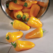 Afbeeldingsresultaat voor baby yellow sweet pepper