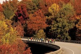 Image result for Brentwood Tc