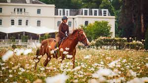 Image result for Thames Valley Riding Club