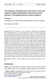 Attēlu rezultāti vaicājumam “Chaetopteryx villosa”