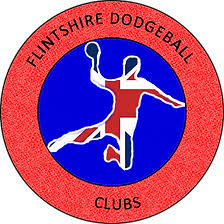 Image result for Berkshire Royals Dodgeball Club