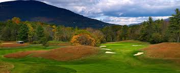 Image result for Whitehall Golf Club