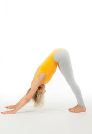 Image result for Barbara Currie School Of Yoga