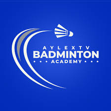 Image result for Higman (Tv) Badminton Academy Badminton Club