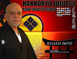 Image result for Ryuko Dojo