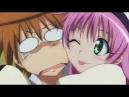 Harem Comedy