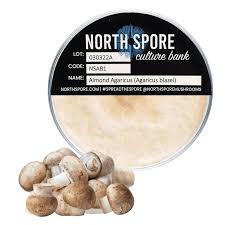 Attēlu rezultāti vaicājumam “Agaricus”