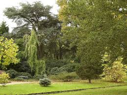 Image result for Arboretum Trompenburg