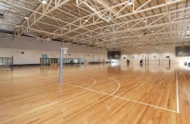 Image result for Sports Centre Netball