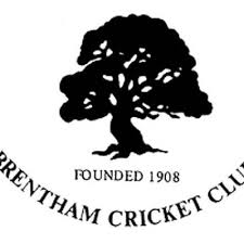 Image result for Kingstonian Cricket Club