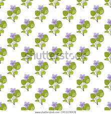 Attēlu rezultāti vaicājumam “Viola mirabilis leaf”